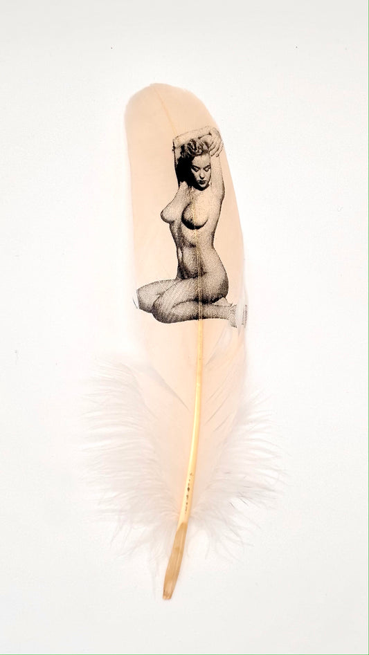 Pin Up #2 Blush