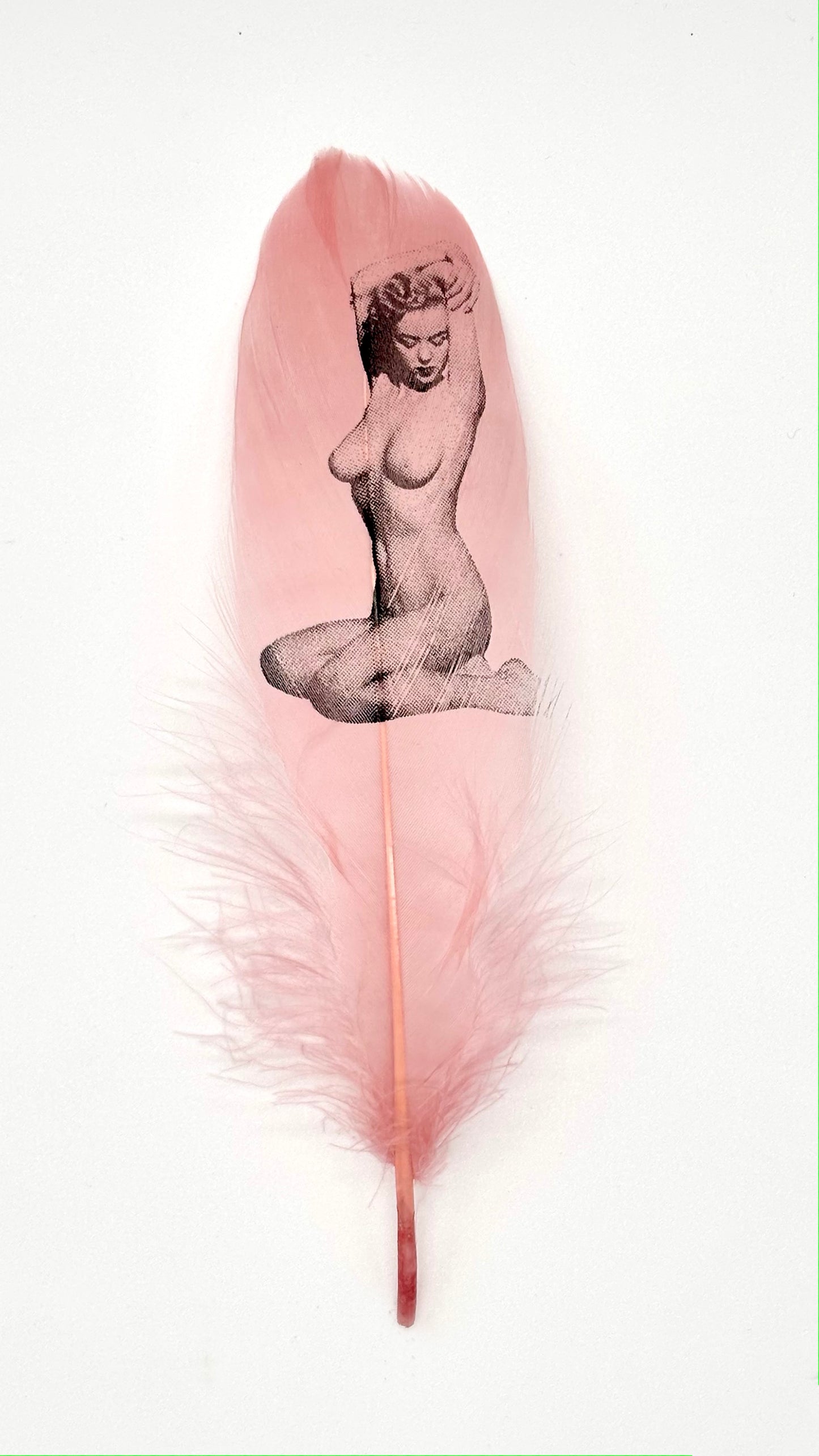 Pin Up #2 Dusty Pink