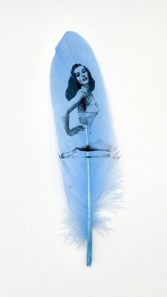 Pin Up #4 Baby Blue