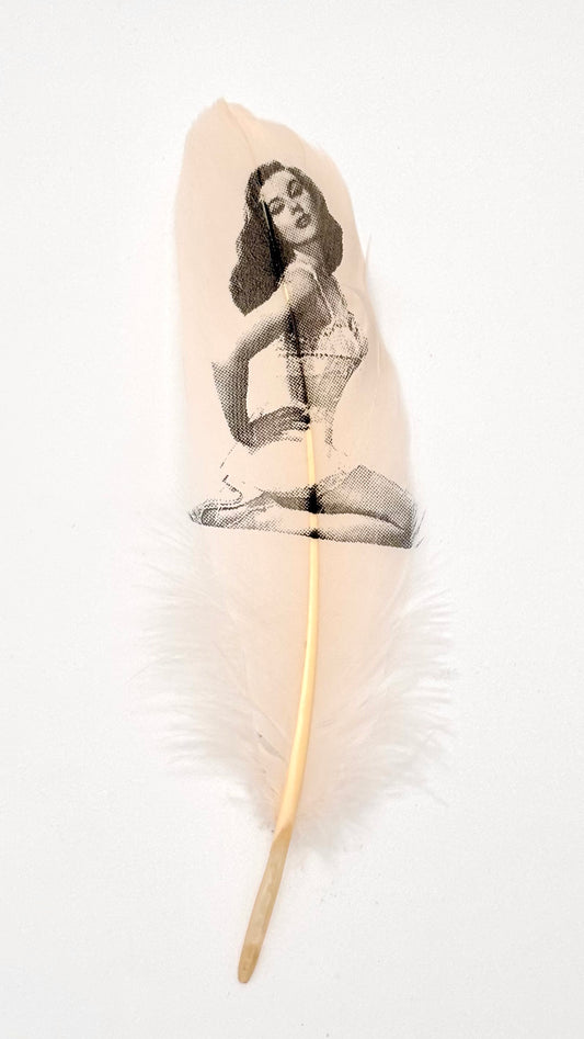 Pin Up #4 Blush