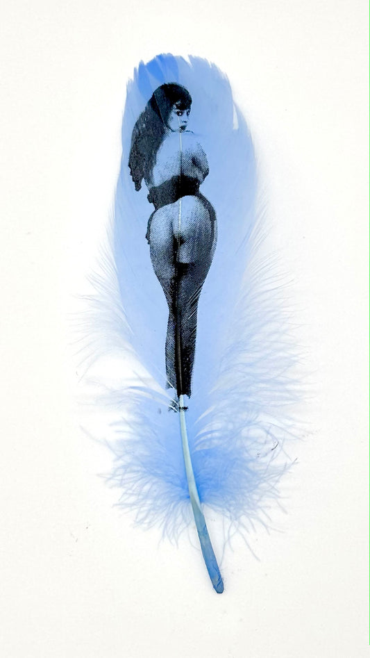Pin Up #6 Baby Blue