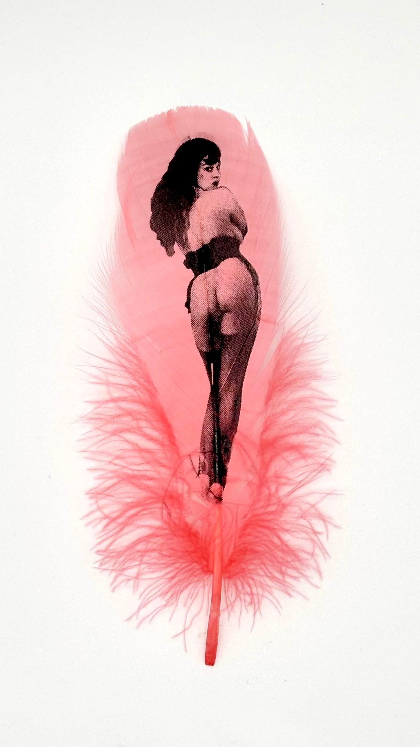 Pin Up #6 Coral Pink