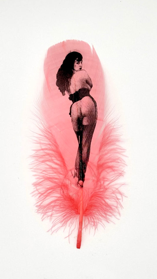 Pin Up #6 Coral Pink