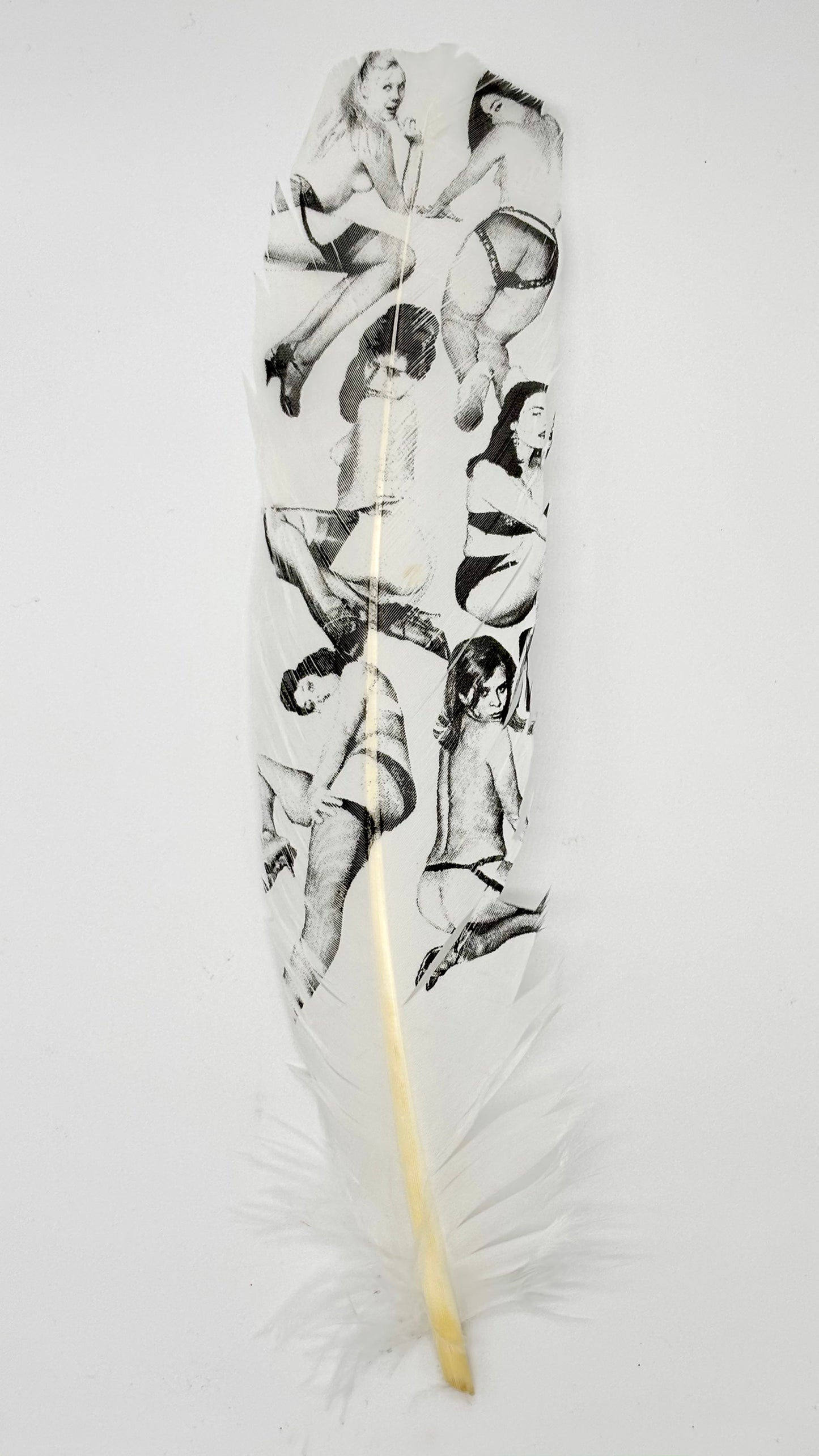 Pin Up Large Quill Black & White