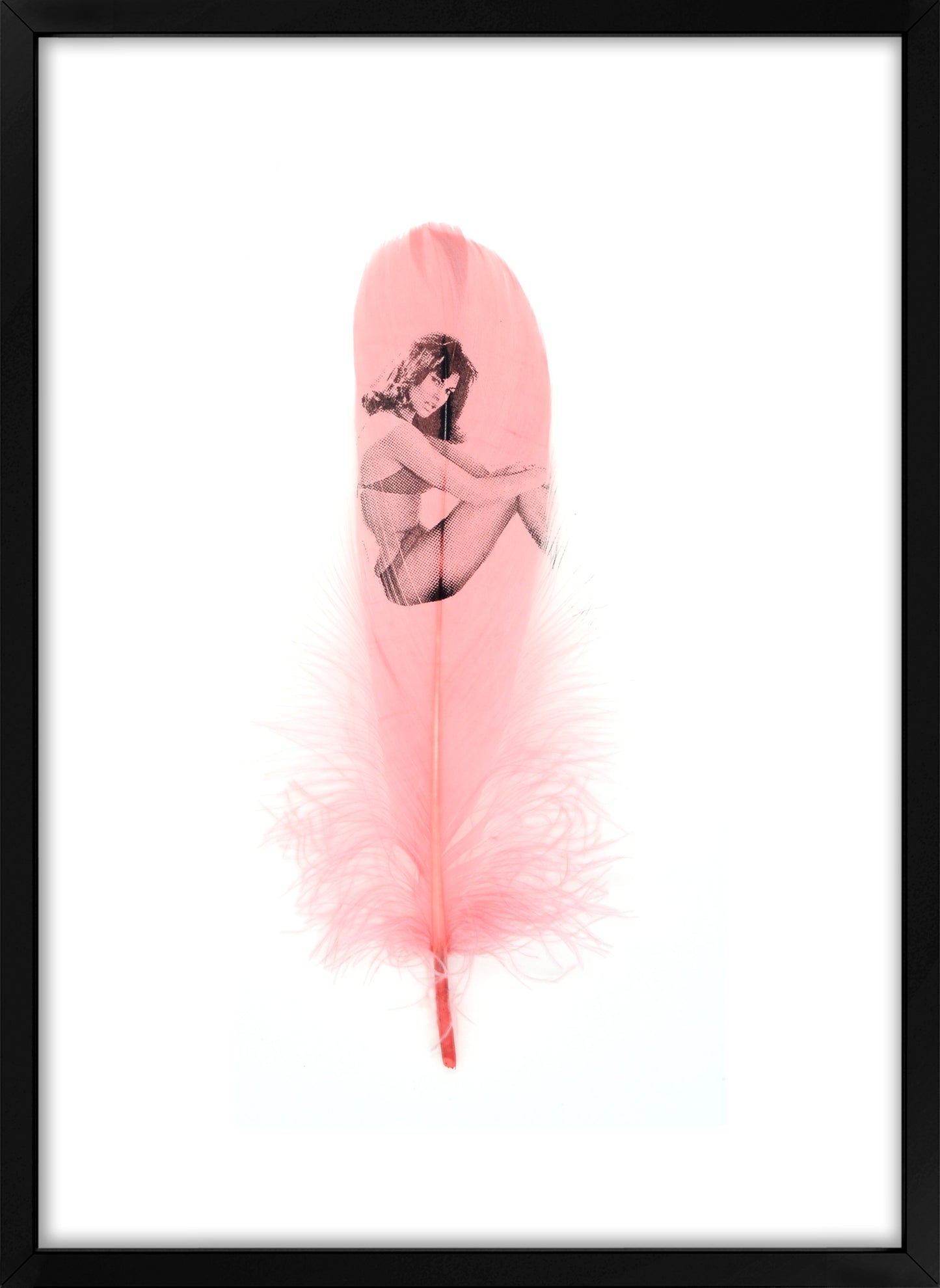 Raquel Dusty Pink Feather