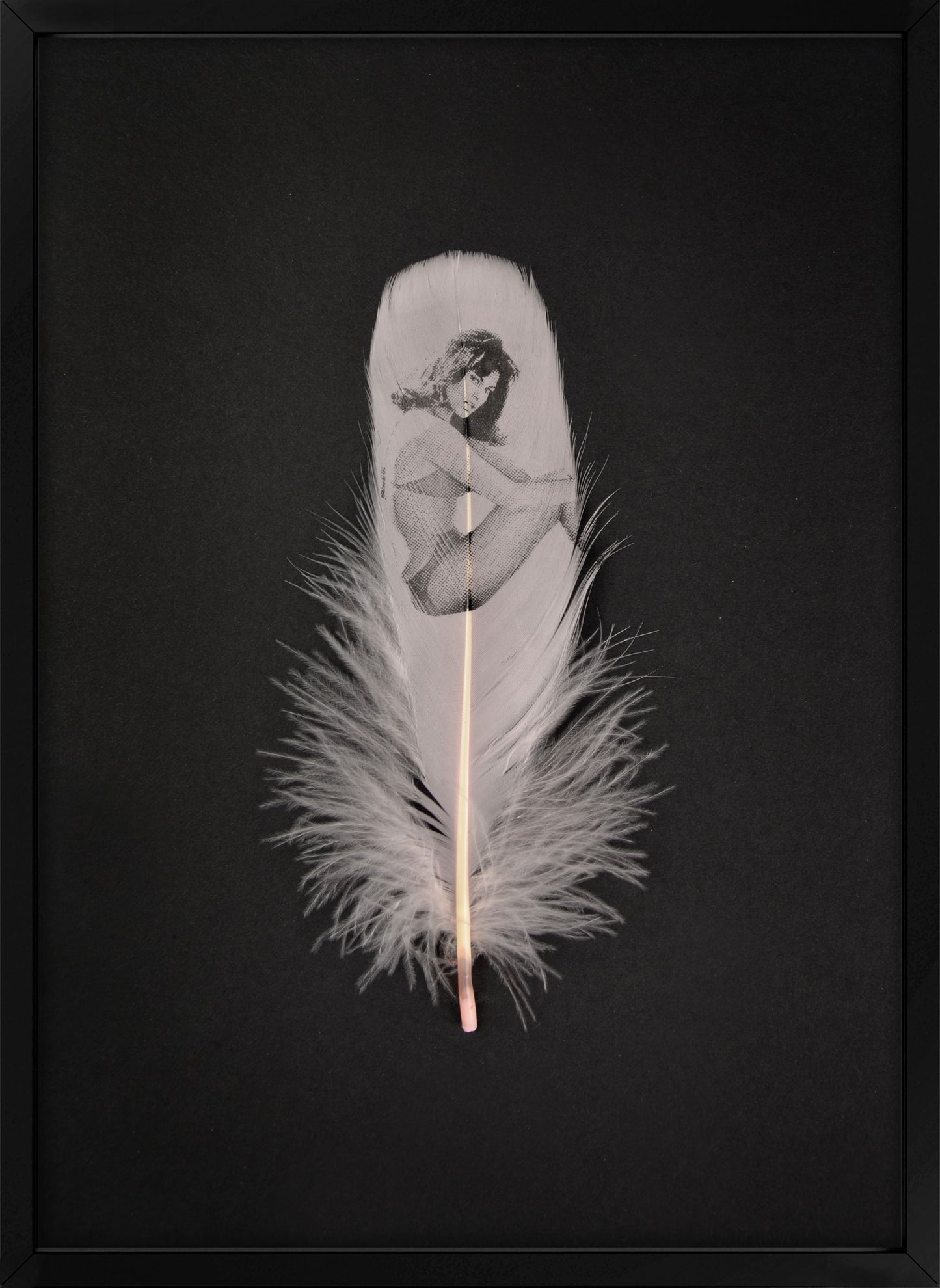 Raquel Baby Pink Feather