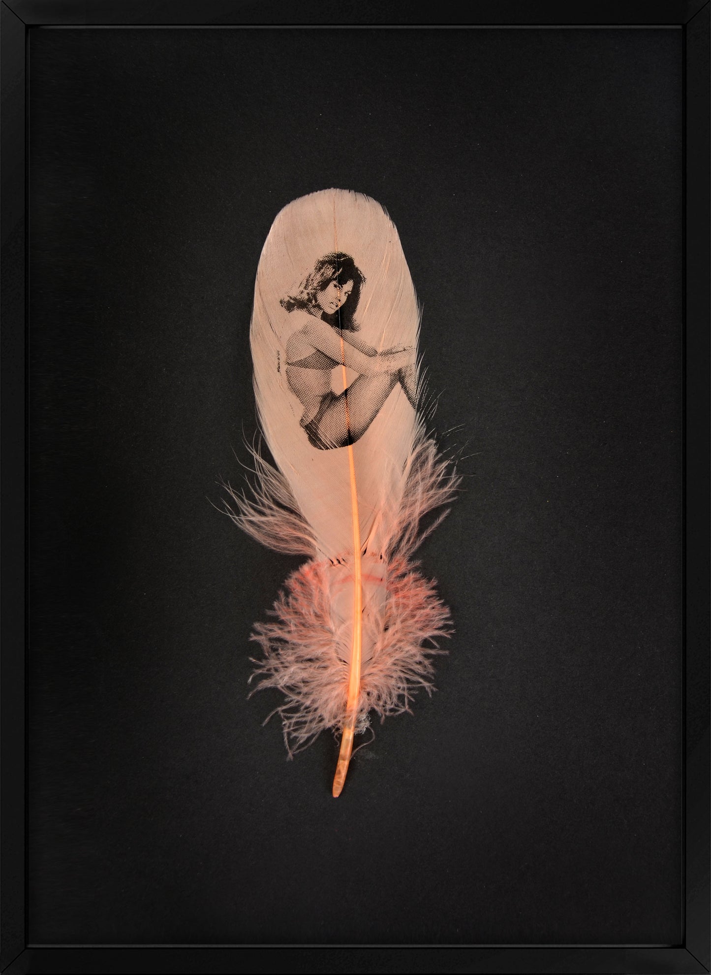 Raquel Coral Pink Feather