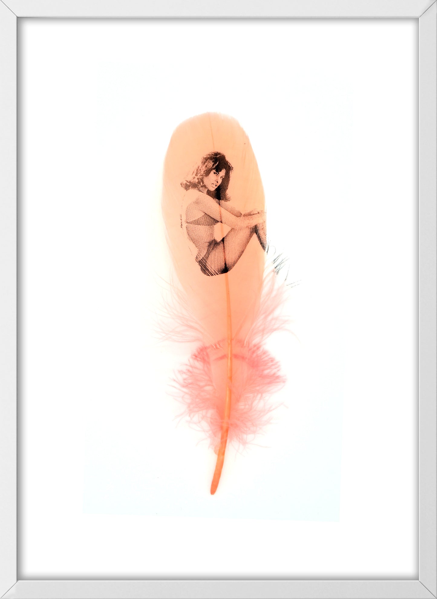 Raquel Coral Pink Feather