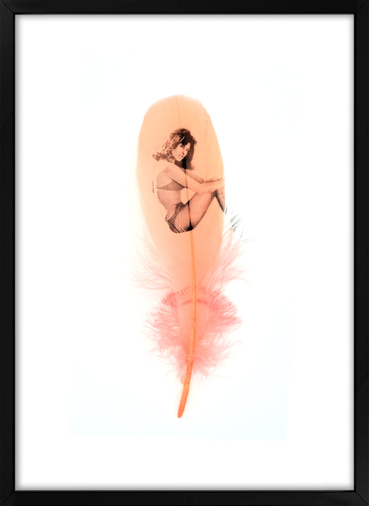 Raquel Coral Pink Feather