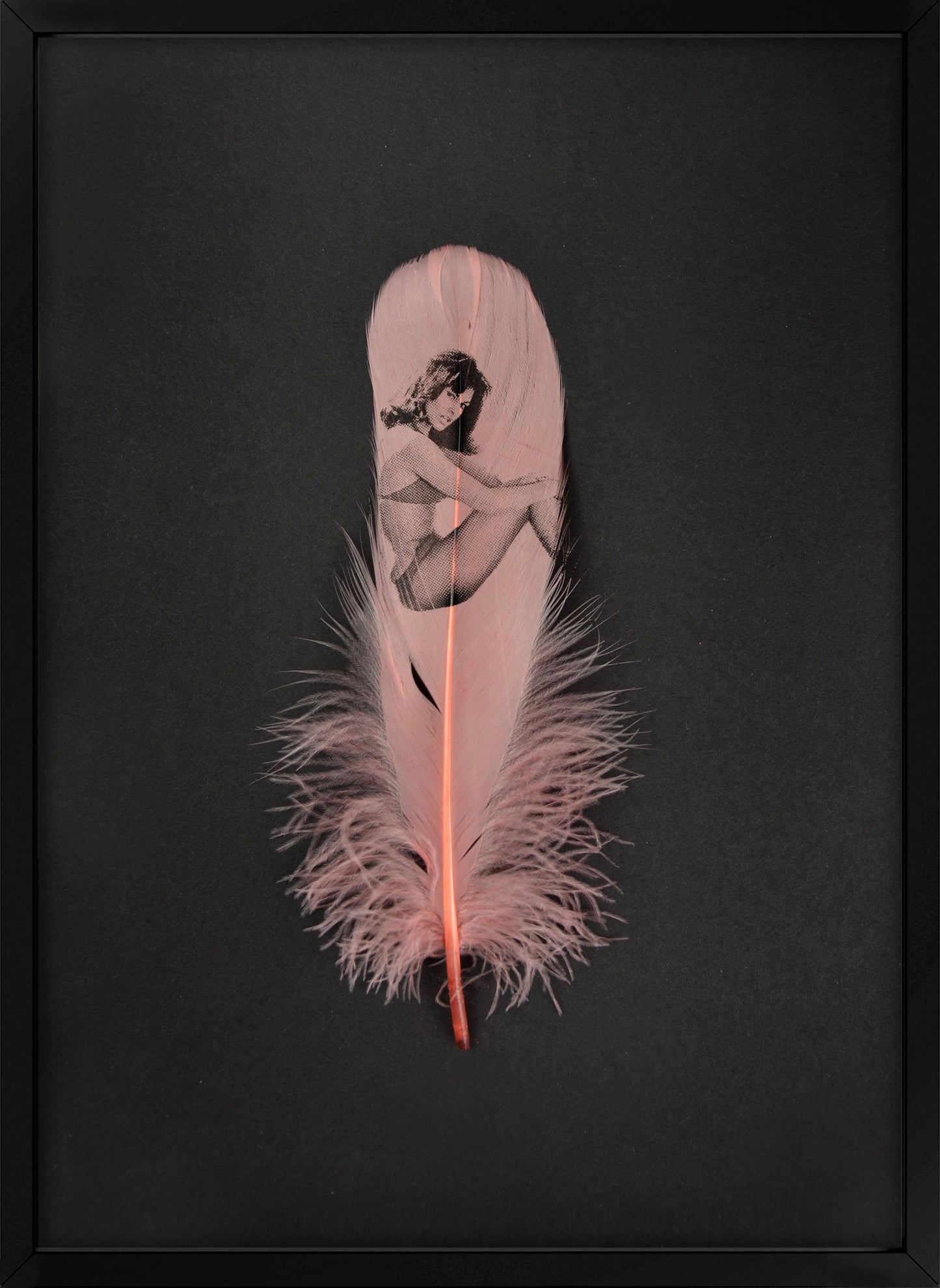 Raquel Dusty Pink Feather