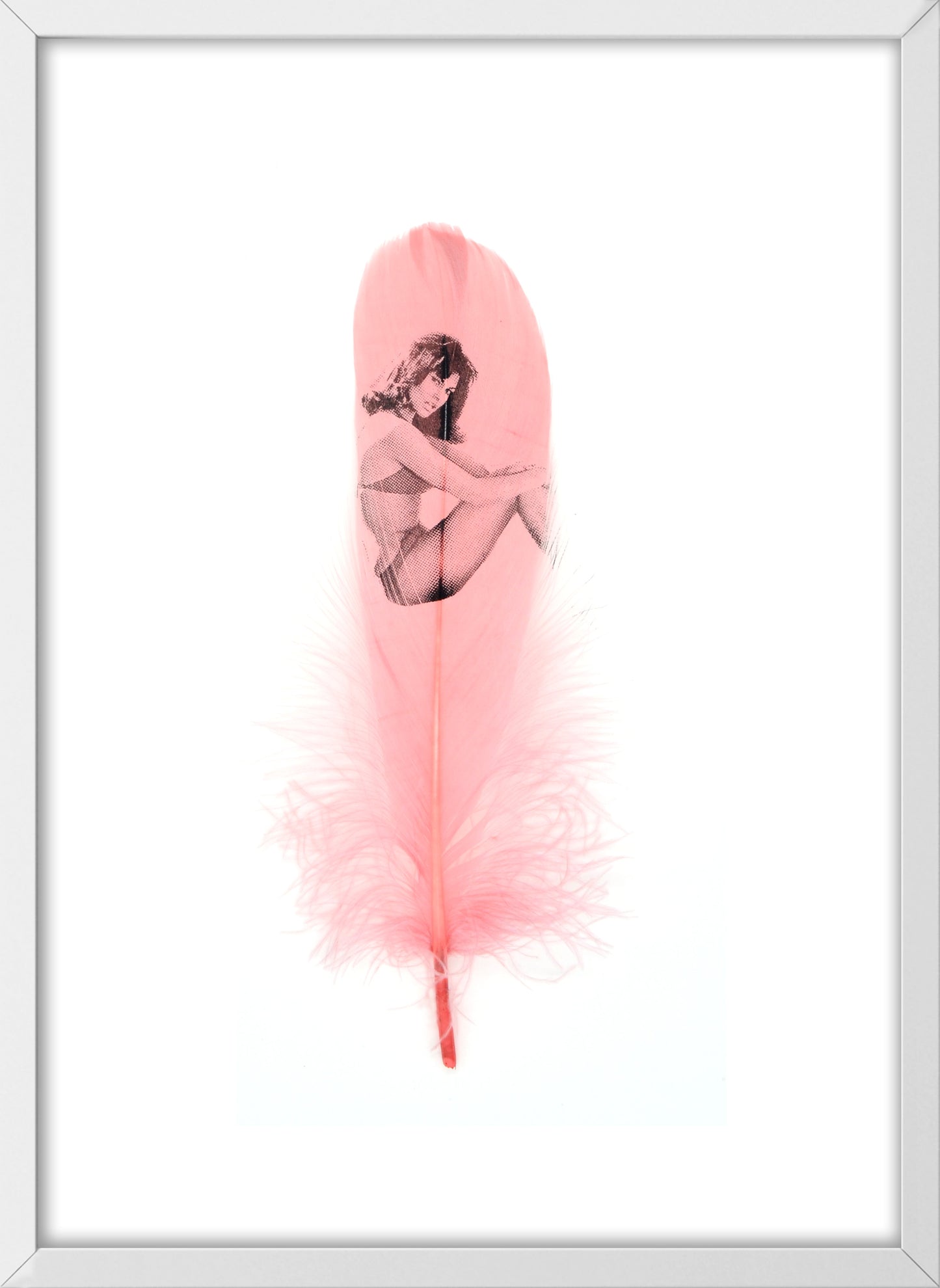 Raquel Dusty Pink Feather