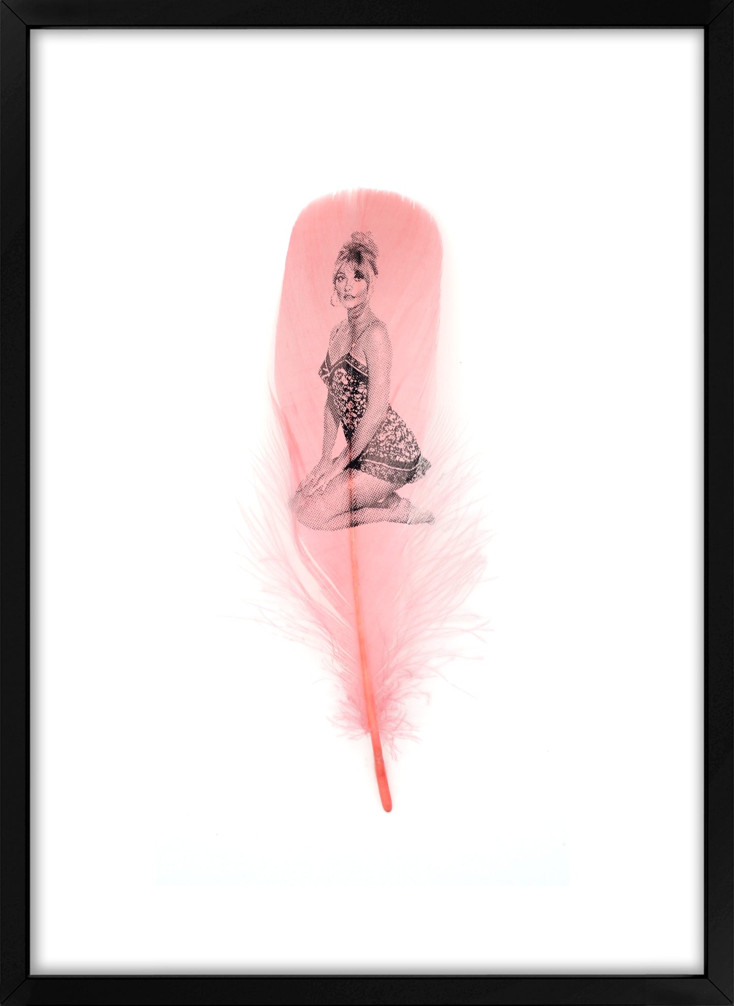 Sharon Dusty Pink Feather