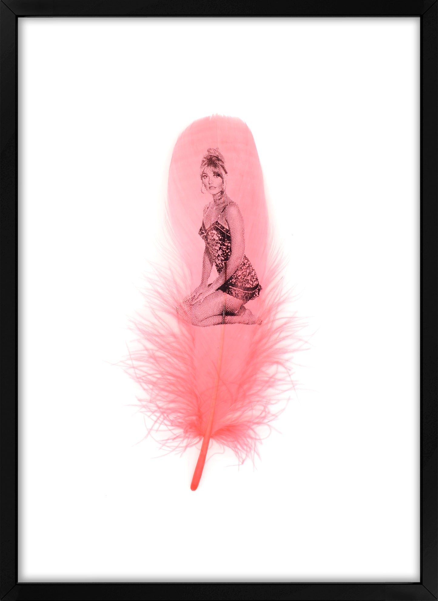 Sharon Flamingo Pink Feather