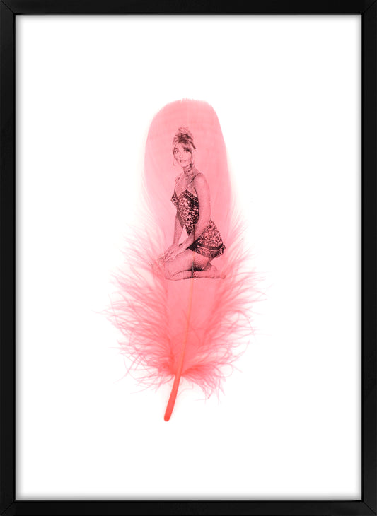 Sharon Flamingo Pink Feather