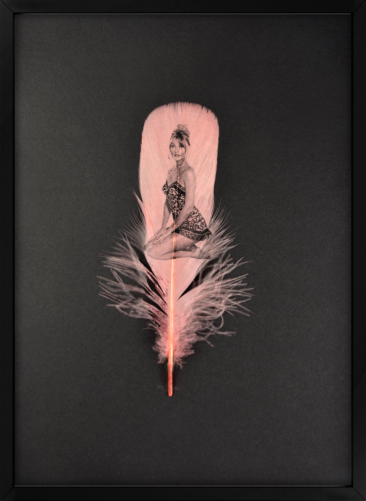 Sharon Dusty Pink Feather