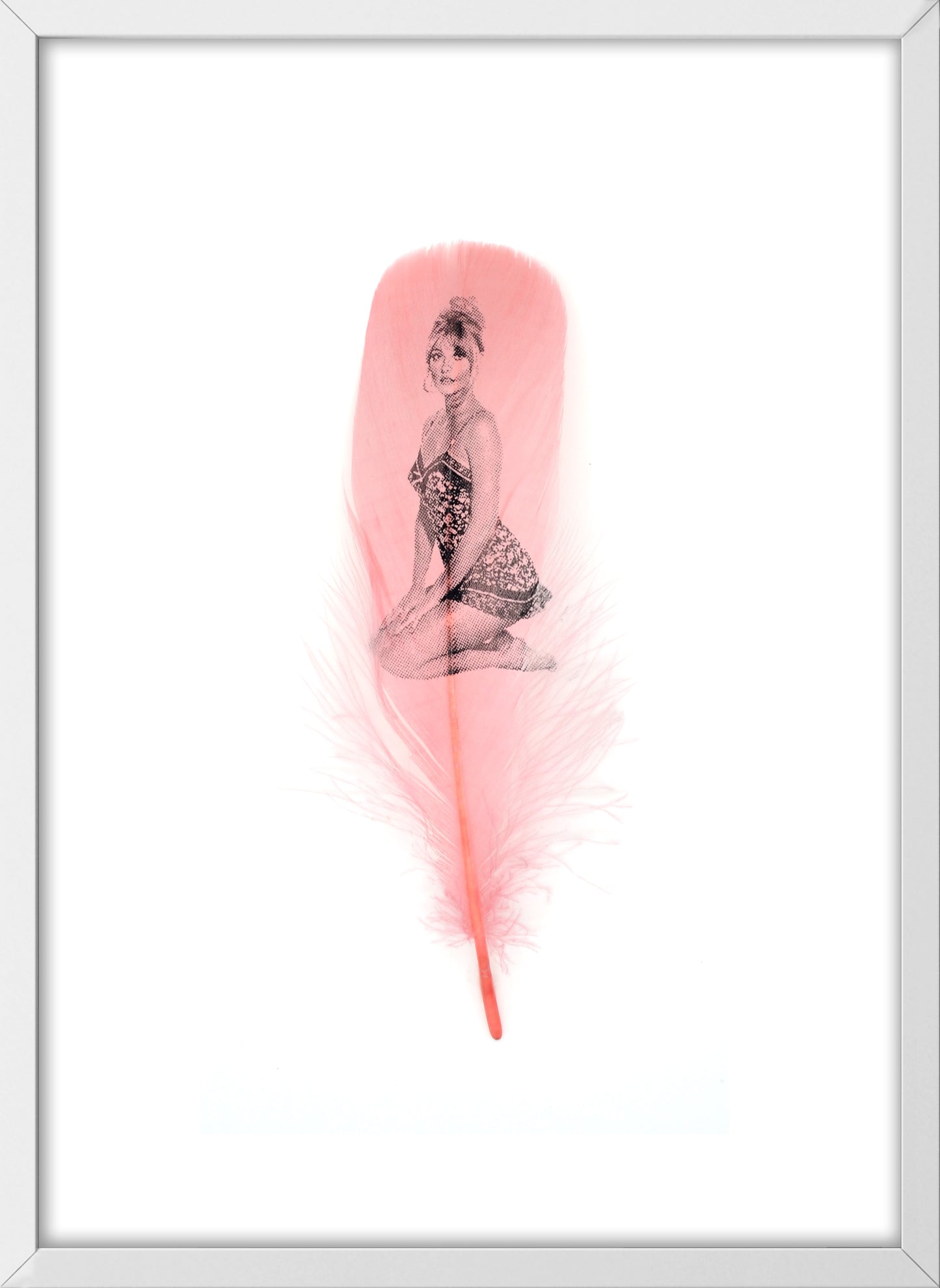 Sharon Dusty Pink Feather