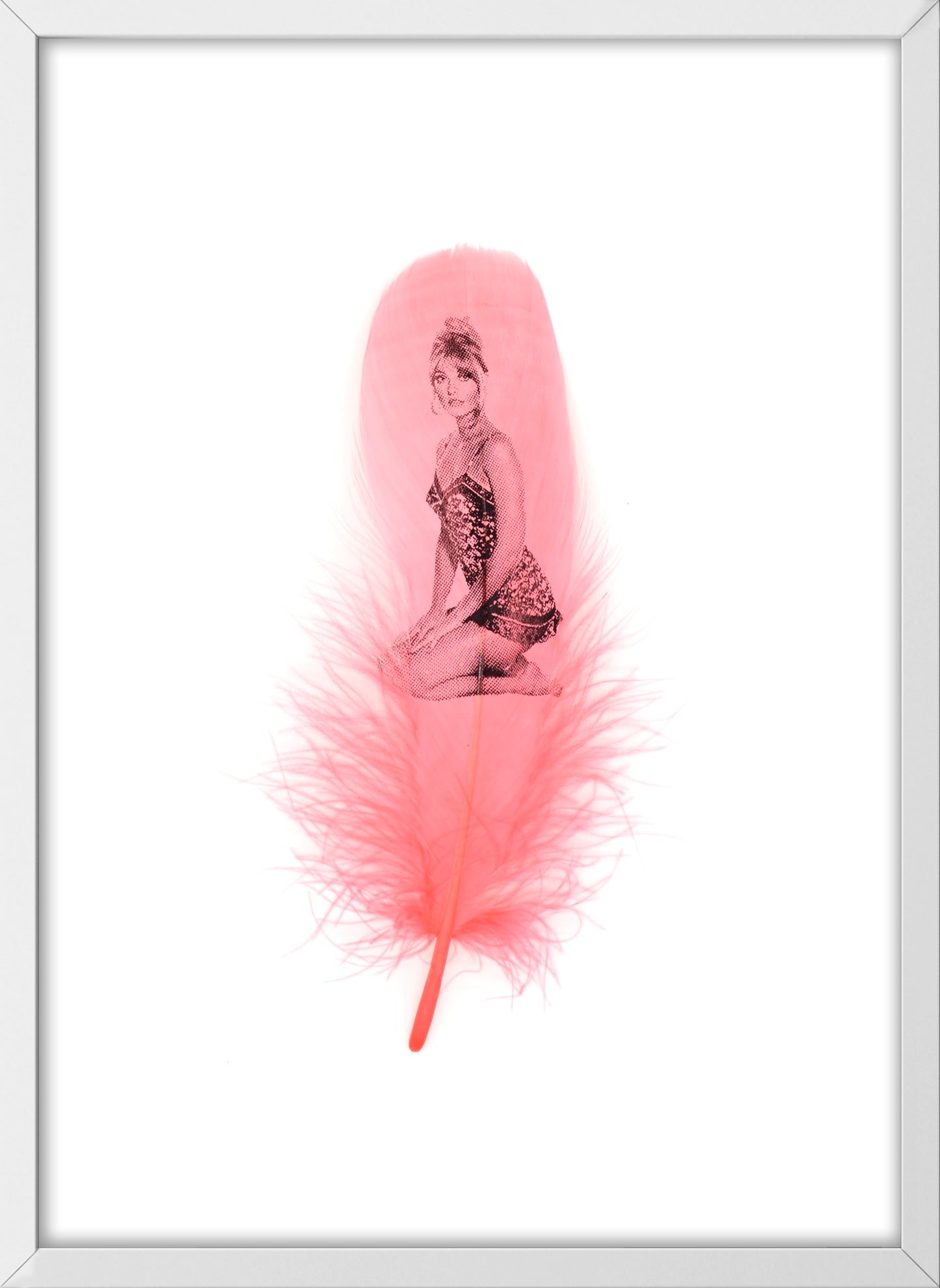 Sharon Flamingo Pink Feather