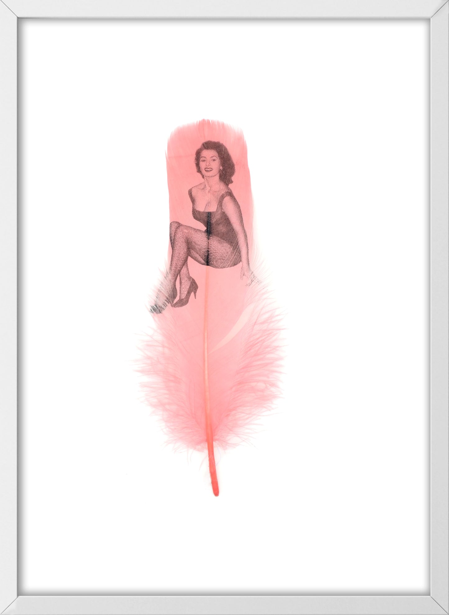 Sophia Dusty Pink Feather