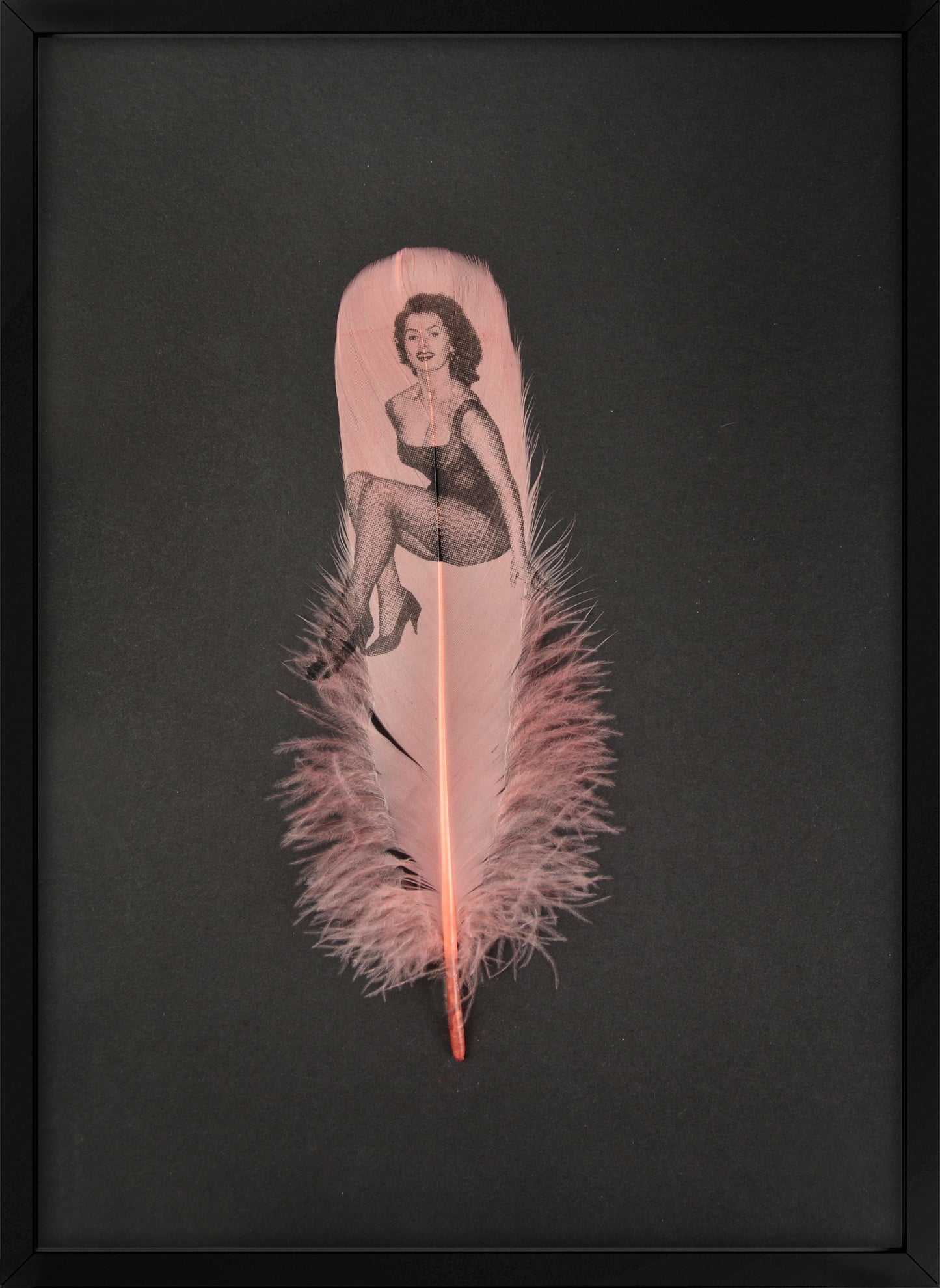 Sophia Dusty Pink Feather