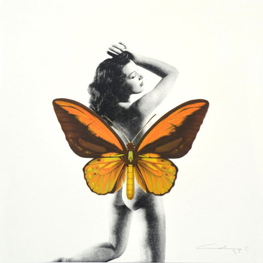 Mariposa 18
