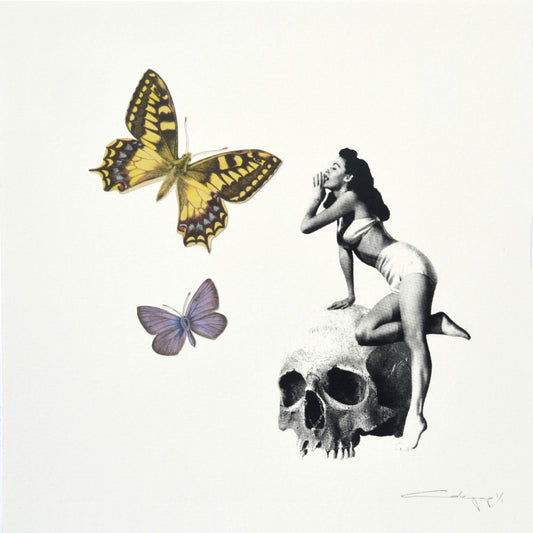 Mariposa 20