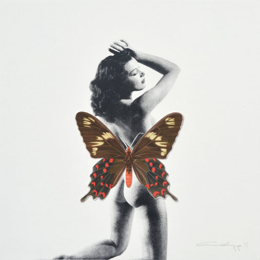 Mariposa 37