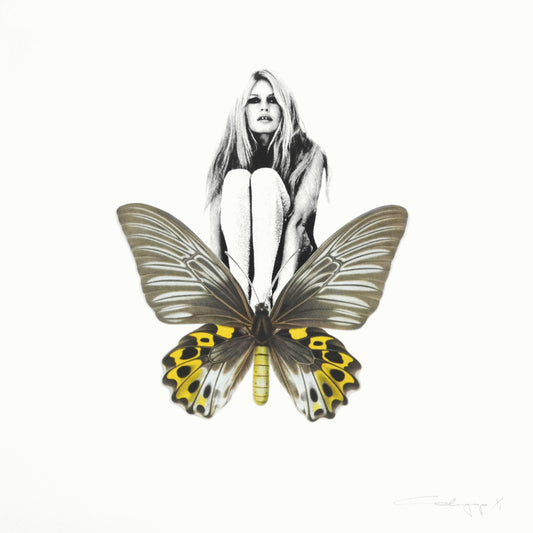 Mariposa 38