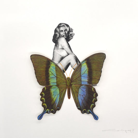 Mariposa 3