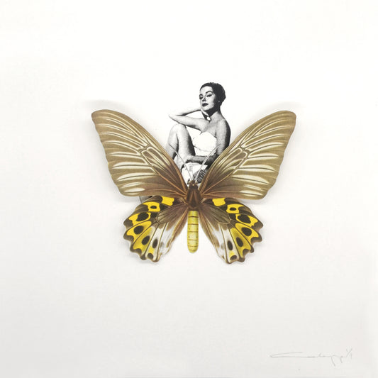 Mariposa  7